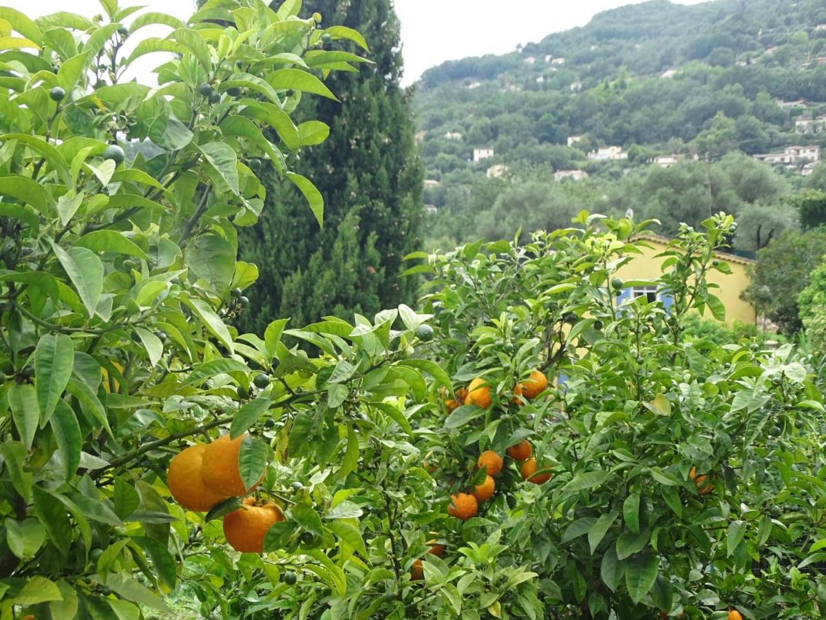 LUVA d'Azur, Rez de villa LE RIOU - LE VALLON Le Bar-sur-Loup Kültér fotó