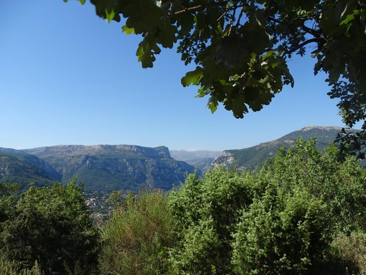 LUVA d'Azur, Rez de villa LE RIOU - LE VALLON Le Bar-sur-Loup Kültér fotó