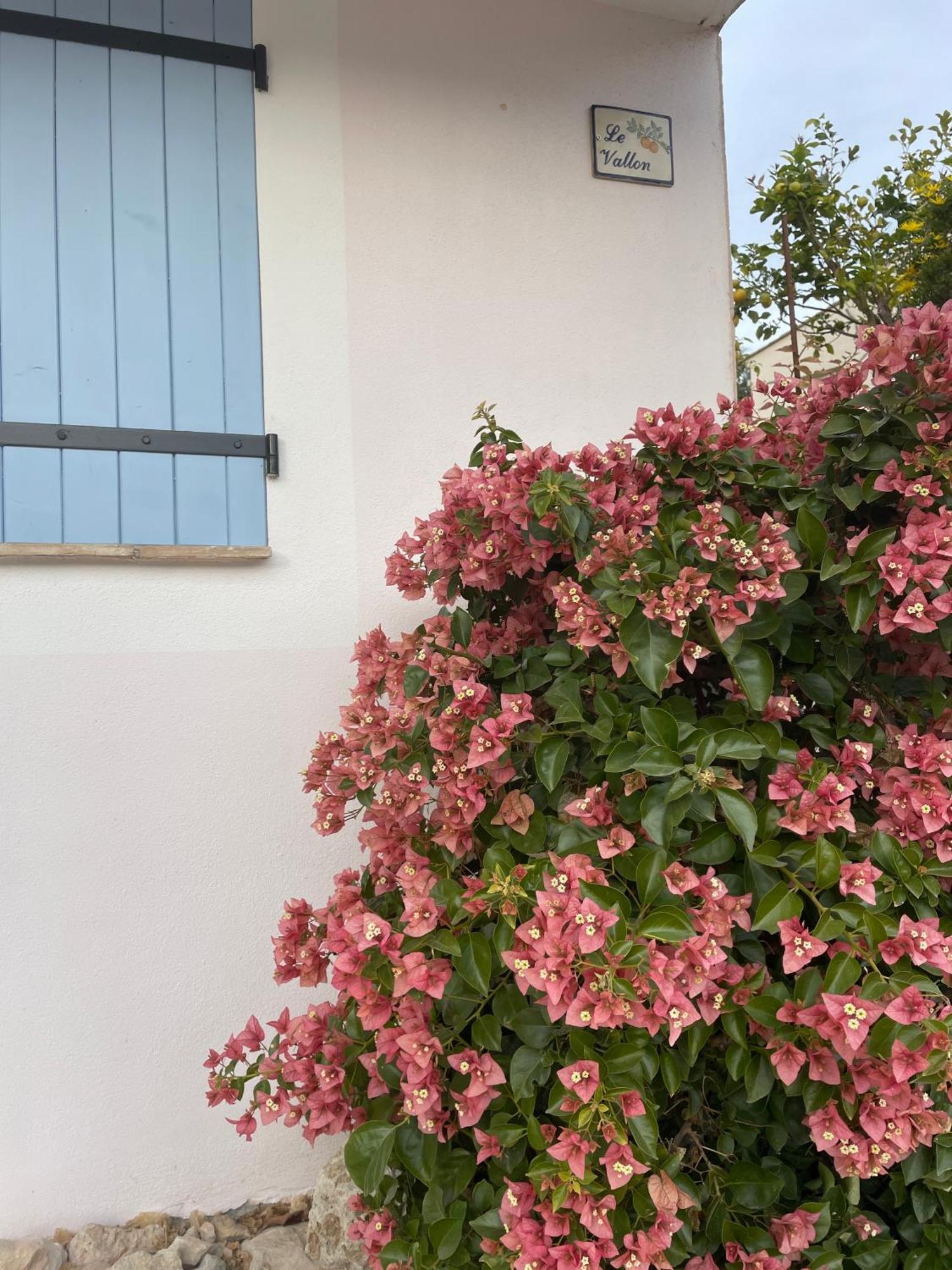 LUVA d'Azur, Rez de villa LE RIOU - LE VALLON Le Bar-sur-Loup Kültér fotó