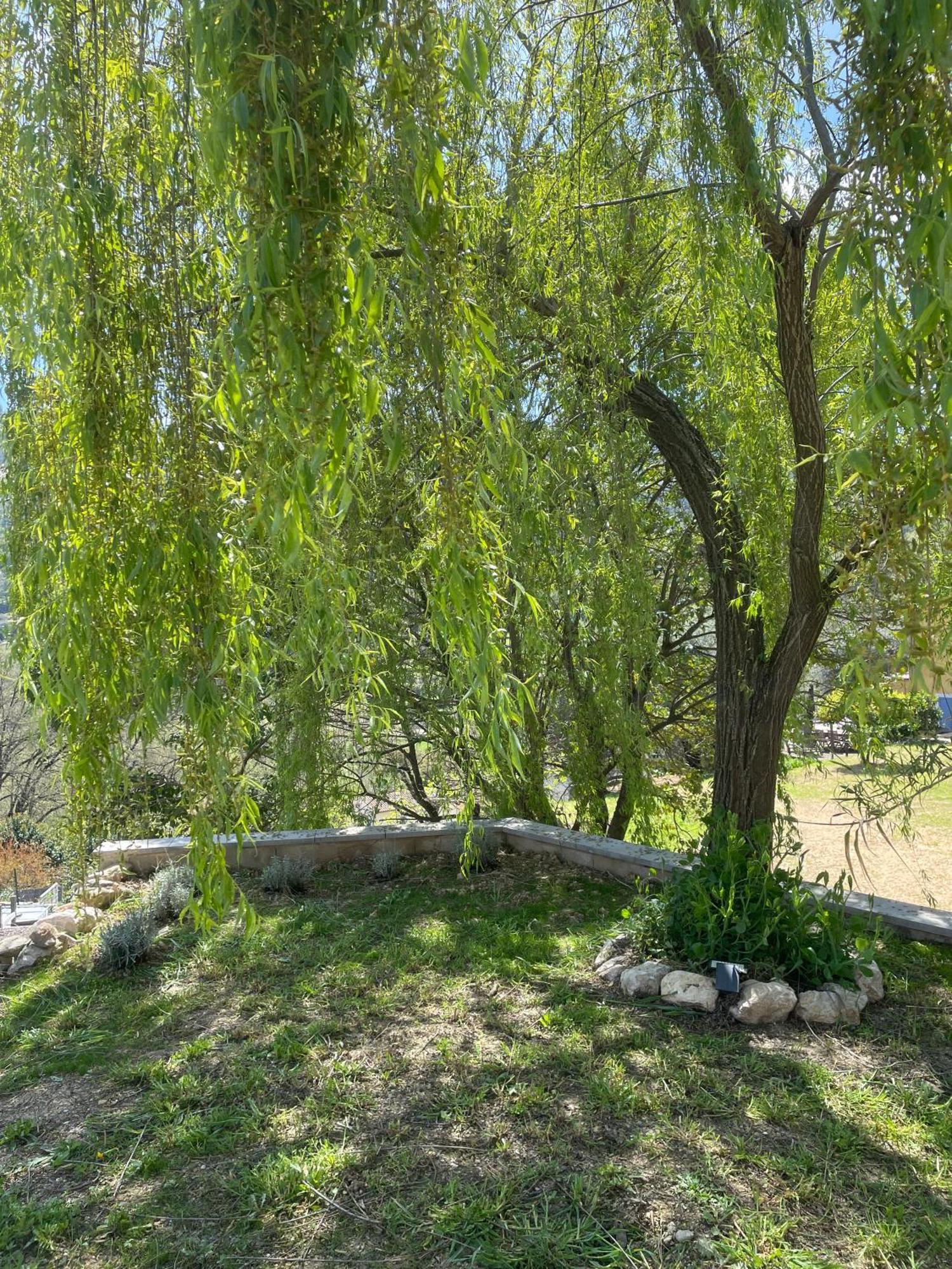 LUVA d'Azur, Rez de villa LE RIOU - LE VALLON Le Bar-sur-Loup Kültér fotó